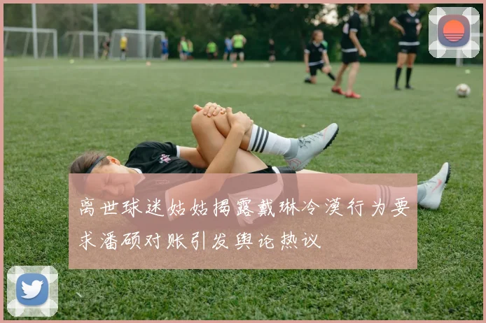 离世球迷姑姑揭露戴琳冷漠行为要求潘硕对账引发舆论热议